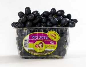 ארלי מידנייט 02